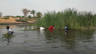 L’impact des interventions du PAM à Zinder, dans les villages de Maiguardaye, Gagawa et Danfountoua, dans le cadre de son projet de résilience