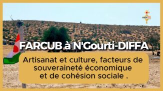 FARCUB 2026 à N’Gourti : l’artisanat et la culture au cœur de la souveraineté économique